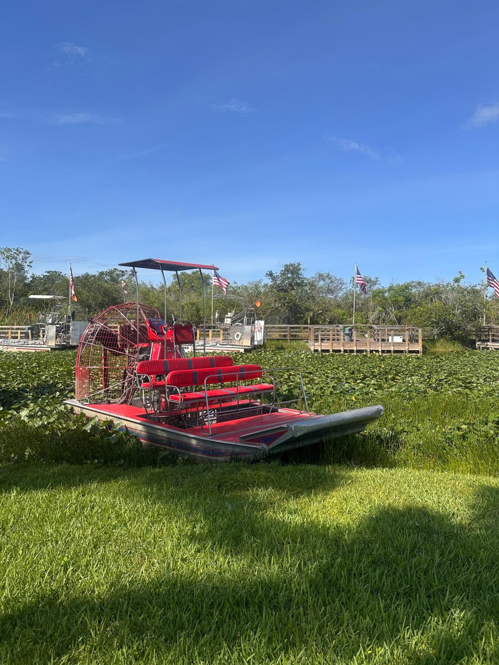 Everglades, Cypress Domes, and Gator Bites: Exploring Florida’s 3 National Parks