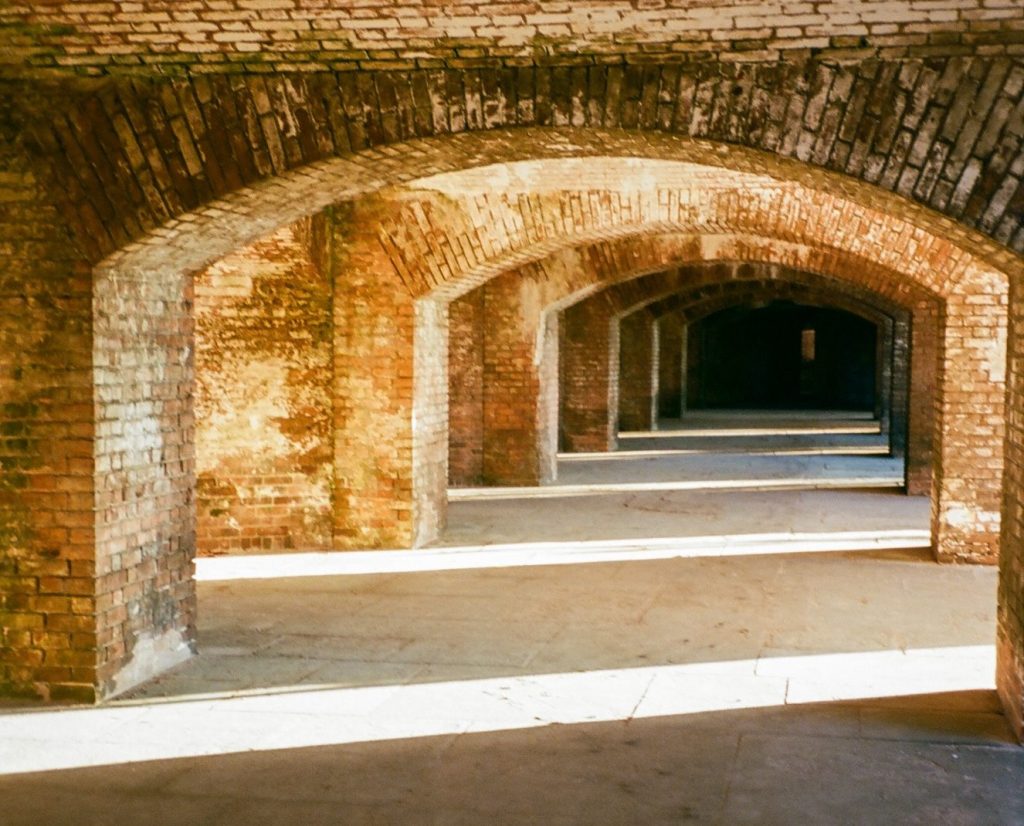 Nature, History, and Snorkeling: A Morning at Dry&nbsp;Tortugas